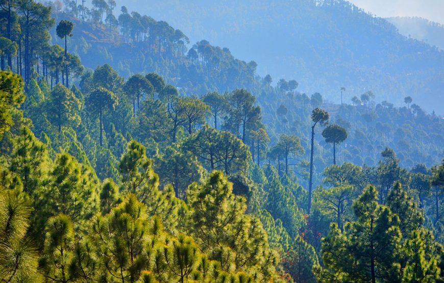 Murree