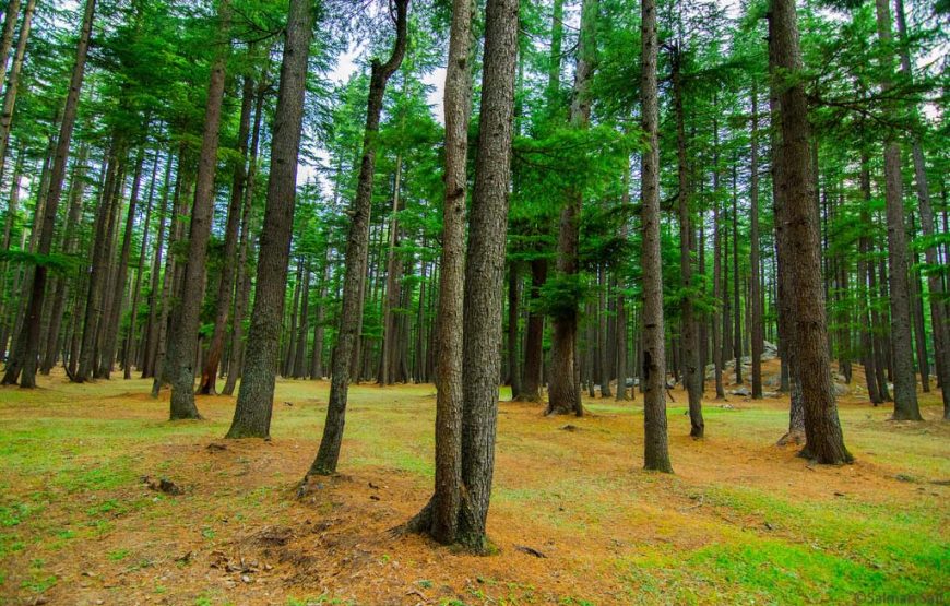 Swat Valley